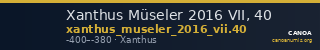 Xanthus Müseler 2016 VII, 40 — CANOA
