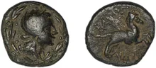 coin rev