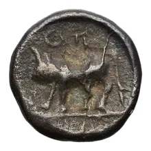 coin rev