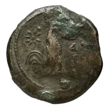 coin rev