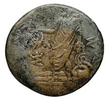 coin rev