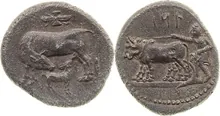 coin rev