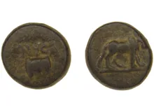 coin obv