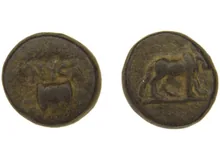 coin rev