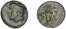 coin rev