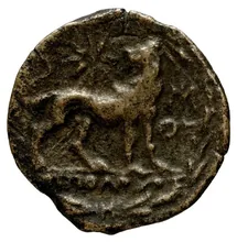 coin rev