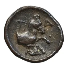 coin rev