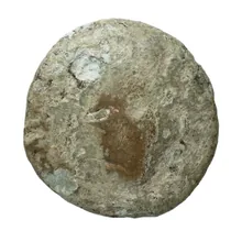 coin obv