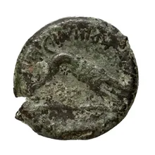 coin rev