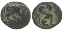 coin rev