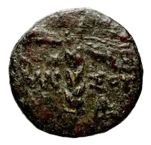 coin rev