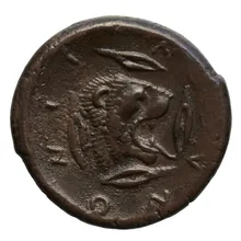 coin rev