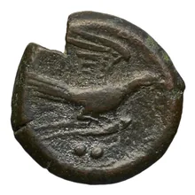 coin rev