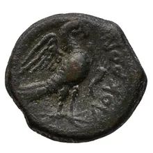 coin rev