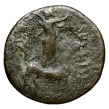 coin rev