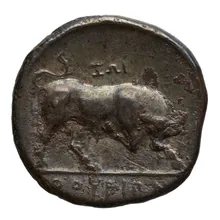 coin rev