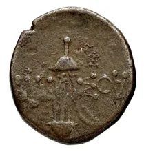 coin rev