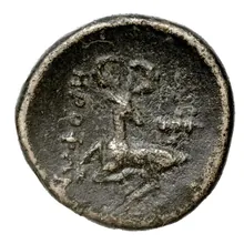 coin rev