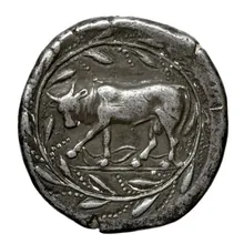 coin rev