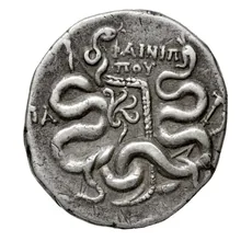coin rev