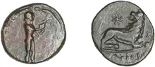 coin rev