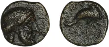 coin rev