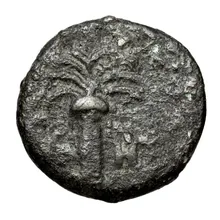 coin rev