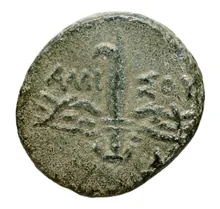 coin rev