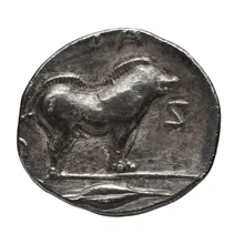 coin rev