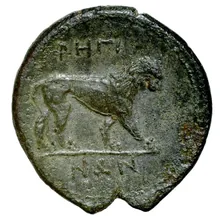 coin rev
