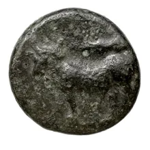 coin rev