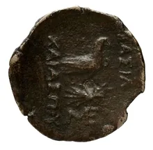 Scythia Minor rev