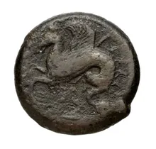 coin rev