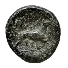 coin rev