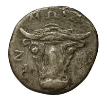 coin rev