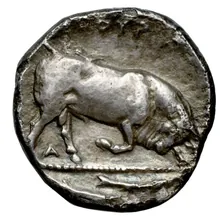 coin rev