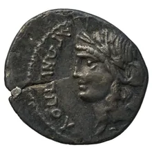 coin obv