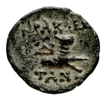 coin rev