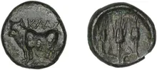 coin obv