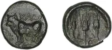coin rev