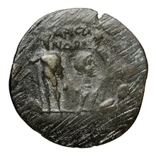 coin rev