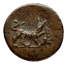 coin rev