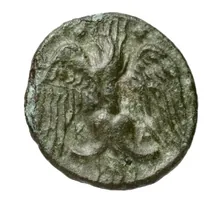 coin rev
