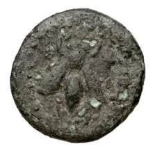coin obv