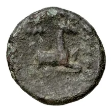 coin rev