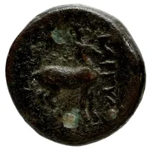 coin rev