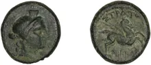 coin rev