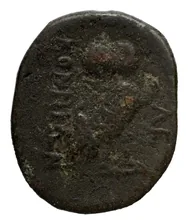 coin rev