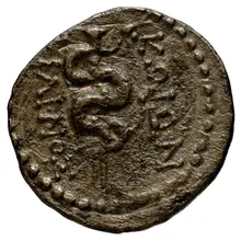 coin rev