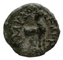 coin rev